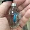 Kingfisher Bauble
