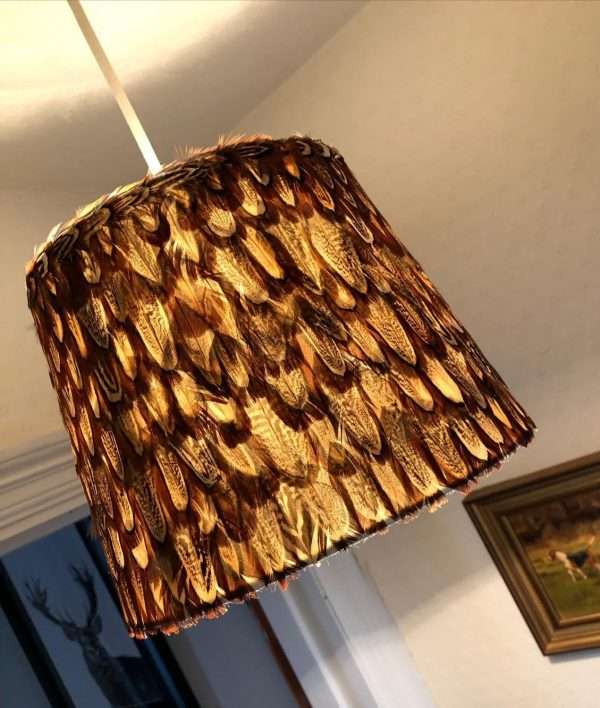 Stunning Ring Neck Pheasant Cock Bird Feather Lamp Shade 18cmH by 25cm W