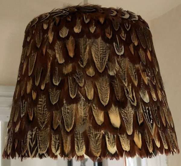 Beautiful hand crafted Ring Neck pheasant cock bird feather lampshade Approx 18cm High x 25cm Wide at the bottom.