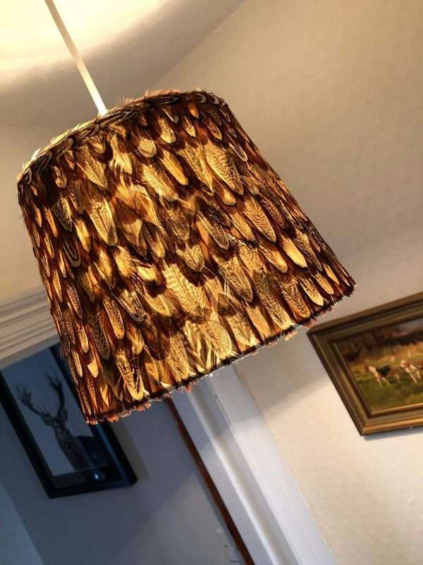 Stunning Ring Neck Pheasant Cock Bird Feather Lamp Shade 18cmH by 25cm W - Image 2