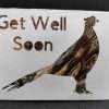 Get Well Soon Feather Silhouette Cards
