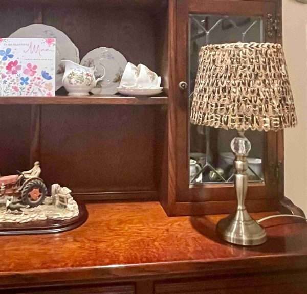 Stunning Ring Neck Pheasant Hen Bird Feather Lamp Shade - Image 8