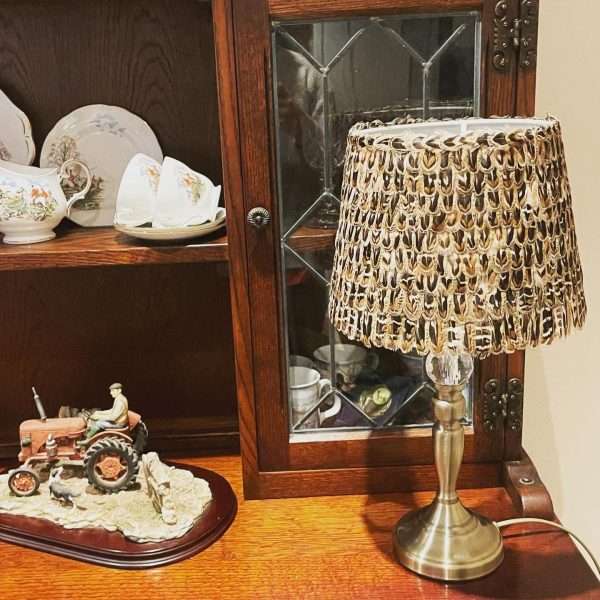 Stunning Ring Neck Pheasant Hen Bird Feather Lamp Shade - Image 7