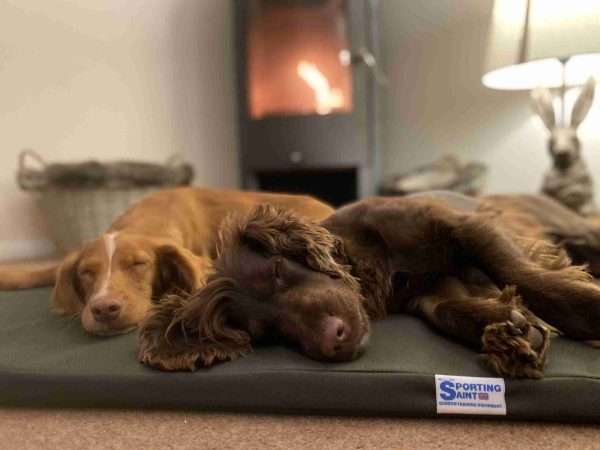 The Meadow Dog Bed - Image 2