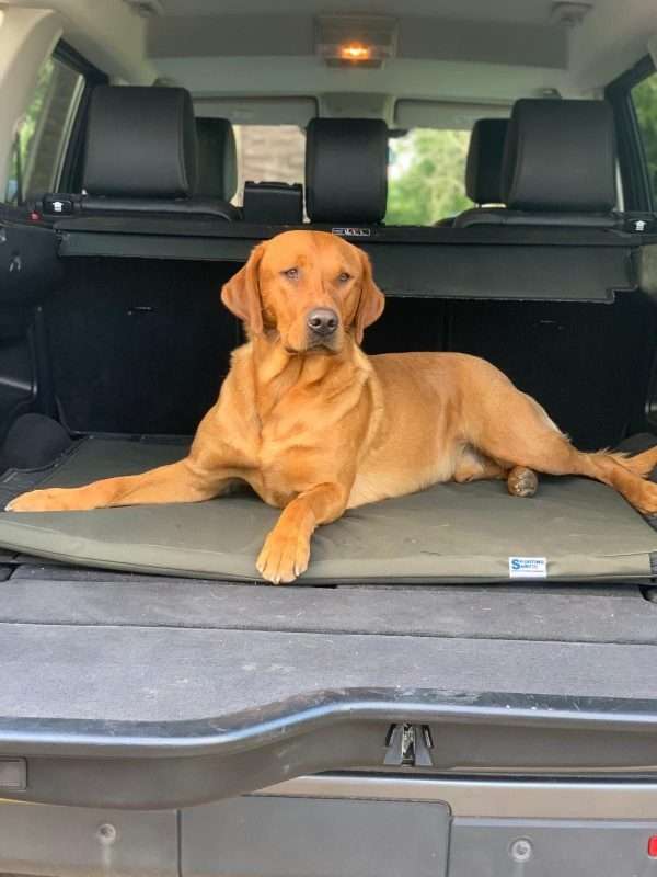 The Meadow Dog Bed