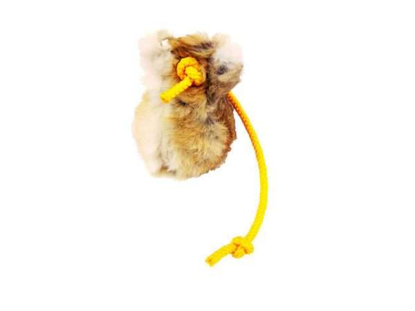 Rabbit Ball - Image 4