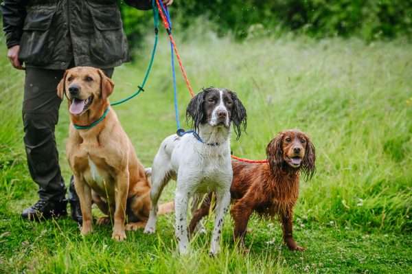 Gundog Slip Leads - 1.5m - Rubber Fittings - Image 2