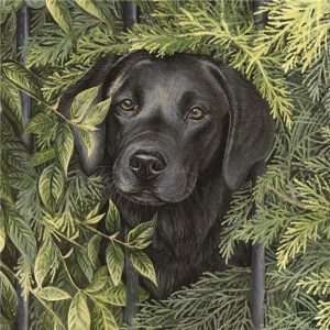 Black Labrador Puppy (Pippa) - Dog Greeting Card