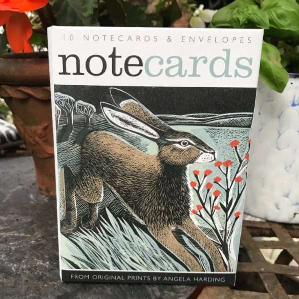 Hare Notecards