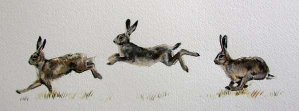 Hare Fusion Bowl - Image 2