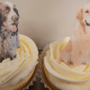 Pheasants and gundogs edible cupcake toppers - Image 2