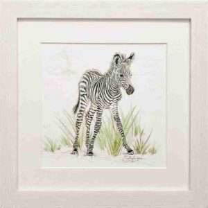 Savannah framed prints