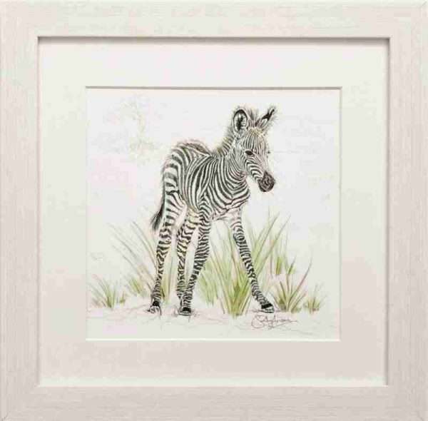 Savannah framed prints