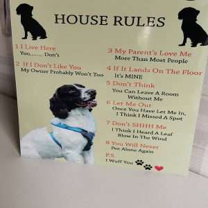 Springer Dog Rules Sign