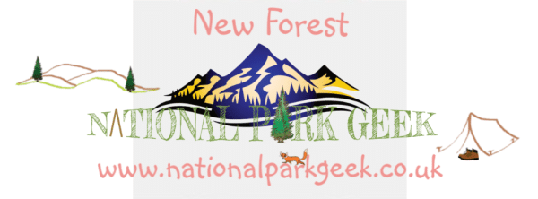 New Forest - Image 4