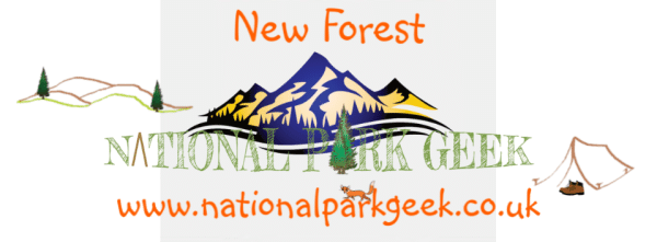 New Forest - Image 2