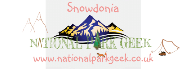 Snowdonia Mug - Image 4