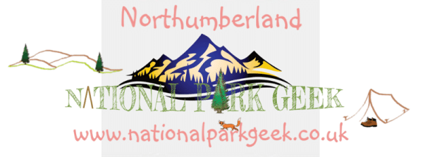 Northumberland Mug - Image 4