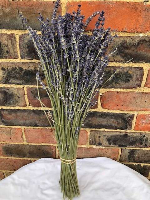 lavender <ul> <li>Aromatic dried lavender bunch</li> <li>Long lasting</li> <li>Perfect for flower arranging</li> <li>Ideal for weddings</li> </ul>