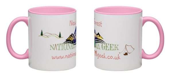 New Forest - Image 3