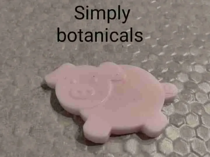 Large Farm Animal Soap Shapes - Image 7