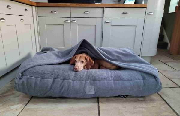 Collared Creatures Grey Luxury Snuggle Sack Dog Bed - Image 6