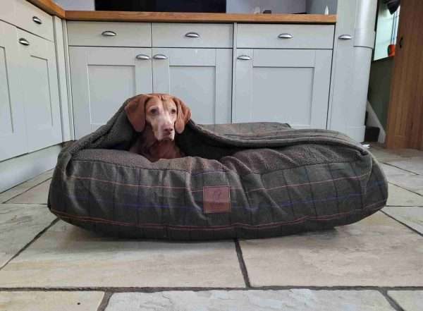 Collared Creatures Green Tweed Luxury Snuggle Sack Dog Bed - Image 4