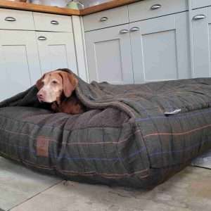 Collared Creatures Luxury Green Tweed Dog Snuggle Bed