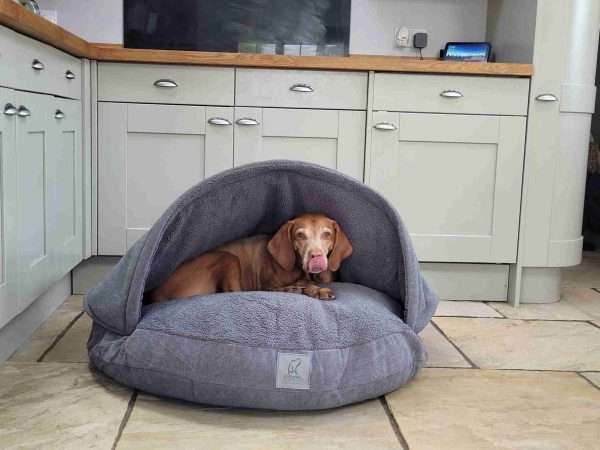 Collared Creatures Grey Luxury Dog Cave Bed With Removable Firm Hood - Image 4