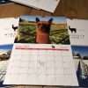Cute Farm Animal Wall Calendar 2022 - A4 Size - Image 2