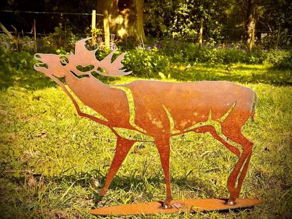 WELCOME TO THE RUSTIC GARDEN ART SHOP Here we have one of our. Rustic Metal Bellowing Stag Garden Art Sculpture Sizes & Measurements:
53cm x 43cm Made From 2mm Mild Steel.