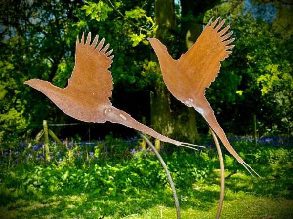 WELCOME TO THE RUSTIC GARDEN ART SHOP Here we have one of our. Large Rustic Metal Pair Of Pheasants Stake Garden Art Sculpture Sizes & Measurements:
72cm x 90cm (excluding stake) ** PLEASE NOTE ALL STAKES ARE HAND BENT SO NO TWO ARE THE SAME - APPROX 90CM HIGH**