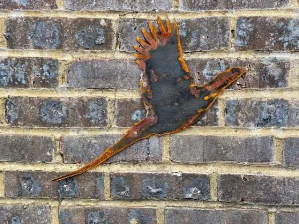 WELCOME TO THE RUSTIC GARDEN ART SHOP Here we have one of our. Large Exterior Pheasant Garden Wall House Gate Sign Hanging Metal Art **Single Pheasant** Sizes & Measurements:
60cm x 29cm Made From 2mm Mild Steel.