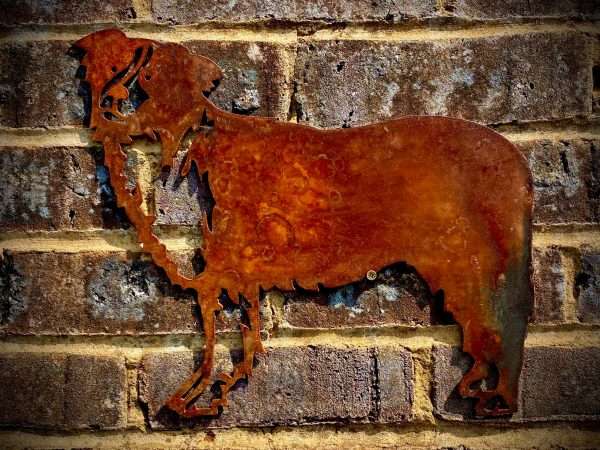 Medium Exterior Rustic Rusty Collie Sheepdog Dog Garden Wall Hanger House Gate Fence Sign Hanging Metal Art Sculpture  Gift - Image 2