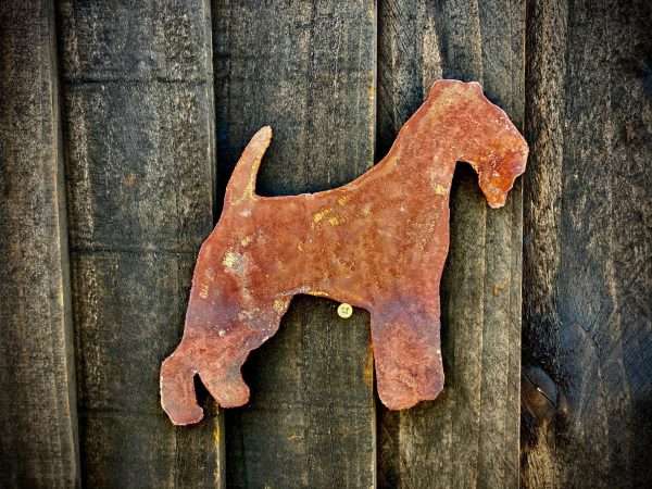 WELCOME TO THE RUSTIC GARDEN ART SHOP Here we have one of our. Small Exterior Rustic Rusty Lakeland Terrier Dog Garden Wall Hanger House Gate Sign Hanging Metal Art Sculpture Sizes & Measurmentse:
19cm x 17cm Made From 2mm Mild Steel.