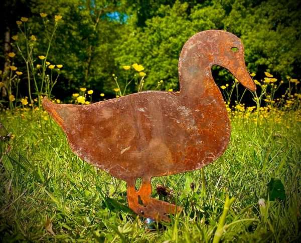 WELCOME TO THE RUSTIC GARDEN ART SHOPâ€¦â€¦ Here we have one of our. Small Rustic Metal Exterior Rusty Duck Garden Stake Art Sculpture Sizes & Measurements:
19cm x 18cm Made From 2mm Mild Steel.