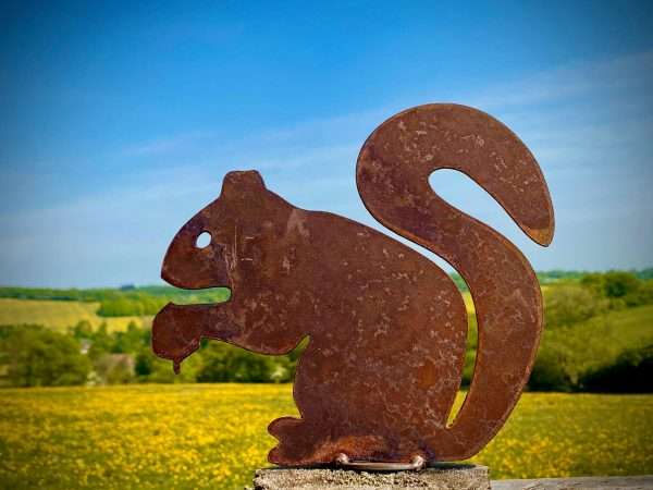 WELCOME TO THE RUSTIC GARDEN ART SHOP Here we have one of our. Small Exterior Rustic Rusty Metal Squirrel Garden Stake / Fence Topper Art Sculpture Sizes & Measurements: 11cm x 12cm Made From 2mm Mild Steel.