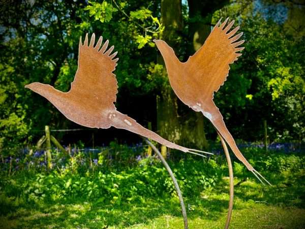 Exterior Rustic Metal Pair Of Pheasant Pheasants Bird Garden Stake Yard Art  Flower Bed Vegetable Patch Scuplture  Gift - Image 2