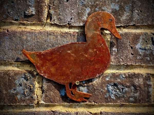 WELCOME TO THE RUSTIC GARDEN ART SHOP Here we have one of our. Medium Exterior Rustic Rusty Duck Garden Wall Hanger House Gate Sign Hanging Metal Art Sculpture Sizes & Measurements:
30cm x 29cm Made From 2mm Mild Steel.