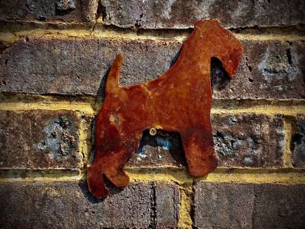 WELCOME TO THE RUSTIC GARDEN ART SHOP Here we have one of our. Small Exterior Rustic Rusty Lakeland Terrier Dog Garden Wall Hanger House Gate Sign Hanging Metal Art Sculpture Sizes & Measurmentse:
19cm x 17cm Made From 2mm Mild Steel.