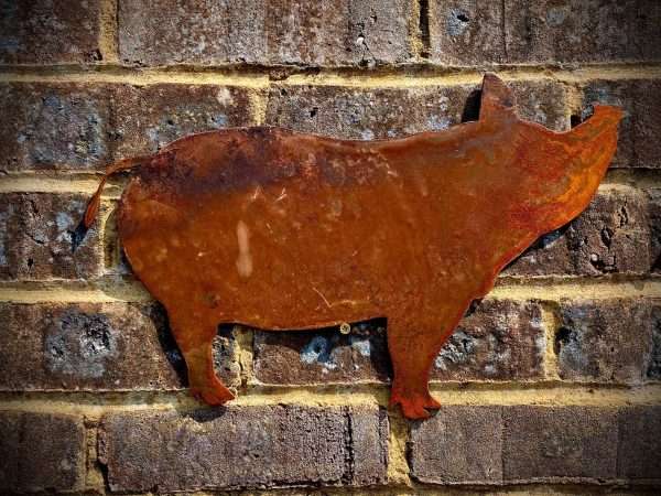 WELCOME TO THE RUSTIC GARDEN ART SHOP Here we have one of our. Medium Exterior Rustic Rusty Pig Piggie Snout Farm Animal Garden Wall Hanger House Gate Sign Hanging Metal Art Sculpture Sizes & Measurements: 39cm x 25cm Made From 2mm Mild Steel.