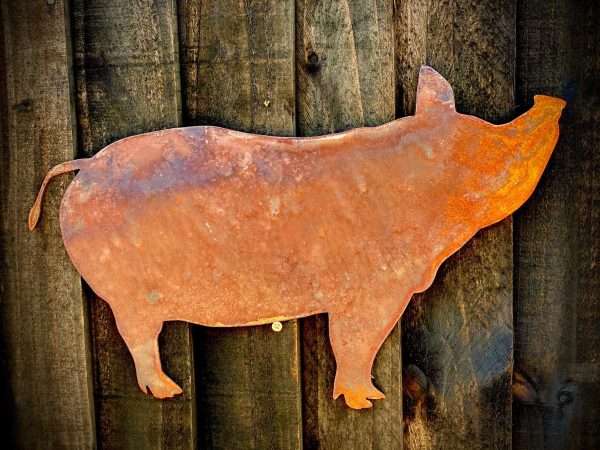 Medium Exterior Rustic Rusty Pig Piggie Snout Farm Animal Garden Wall Hanger House Gate Fence Sign Hanging Metal Art Shed Sculpture - Image 2