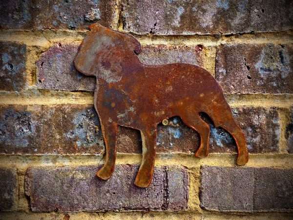 WELCOME TO THE RUSTIC GARDEN ART SHOPâ€¦â€¦ Here we have one of our. Large Exterior Rustic Rusty Staffordshire Bull Terrier Staffy Dog Garden Wall Hanger House Gate Sign Hanging Metal Art Sculpture Sizes & Measurements:
45cm x 45cm Made From 2mm Mild Steel.