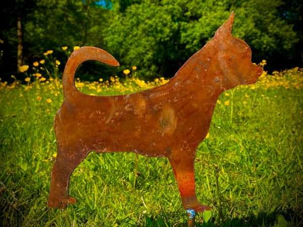 WELCOME TO THE RUSTIC GARDEN ART SHOP Here we have one of our. Small Exterior Rustic Rusty Metal Chihuahua Little Dog Small Pet Garden Stake Art Sculpture Sizes & Measurements:
15cm x 13cm Made From 2mm Mild Steel.