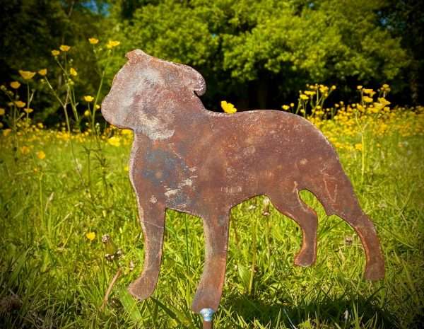 WELCOME TO THE RUSTIC GARDEN ART SHOP Here we have one of our. Small Exterior Rustic Rusty Metal Staffordshire Bull Terrier Dog Garden Stake Art Sculpture Gift Measurements: 22cm x 22cm Made From 2mm Mild Steel.