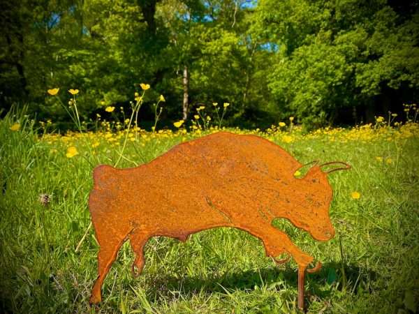 WELCOME TO THE RUSTIC GARDEN ART SHOP Here we have one of our. Small Exterior Rustic Rusty Metal Bull Cow Cattle Farm Animal Garden Stake Art Sculpture Gift Sizes & Measurements: 41cm x 22cm Made From 2mm Mild Steel.