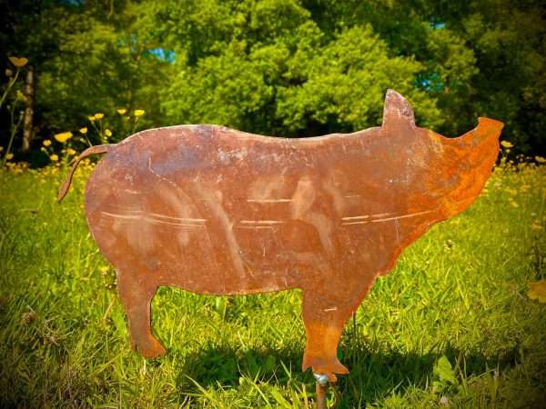 Medium Exterior Rustic Rusty Metal Pig Piggie Snout Farm Animal Garden Stake Yard Art  Vegetable Patch Flower Bed Sculpture  Gift