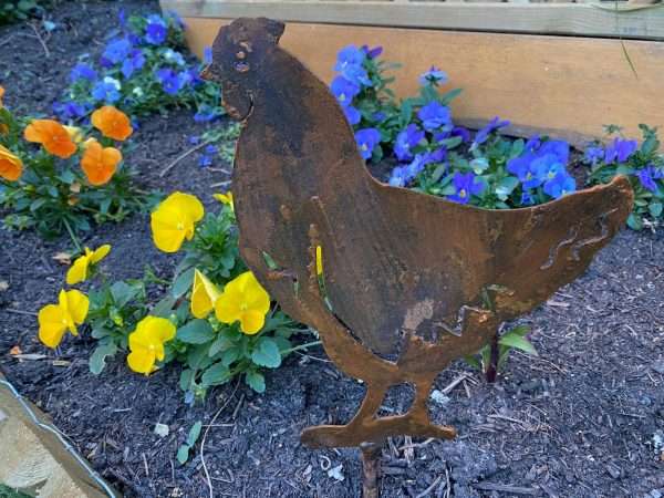 WELCOME TO THE RUSTIC GARDEN ART SHOP Here we have one of our. Exterior Rustic Rusty Metal Hen Chicken Farm Animal Garden Stake Yard Art Sculpture Gift THIS IS FOR ONE CHICKEN ONLY - THIS LISTING IS FOR THE HEN STANDING UP Sizes & Measurements: 20cm x 23cm Made From 2mm Mild Steel