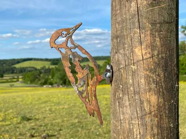 WELCOME TO THE RUSTIC GARDEN ART SHOP Here we have one of our.
Exterior Rustic Rusty Metal Woodpecker Bird Garden Fence Topper Yard Art Gate Post Lawn Sculpture Gift Sizes & Measurements:
12cm x 6cm These are made from 2mm mild steel sheet.