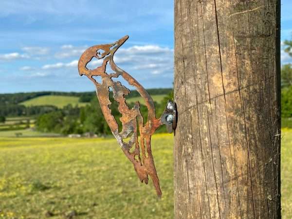 Exterior Rustic Rusty Metal Woodpecker Bird Garden Fence Topper Yard Art Gate Post  Sculpture  Gift   Present